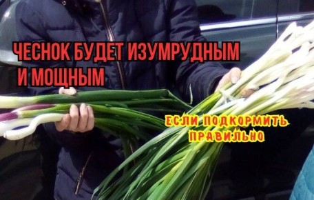 ��� ��������� ������������� ������ ������ ��� ���������� ������