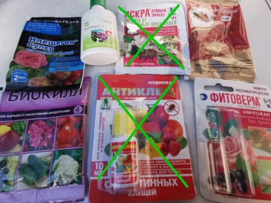 ��� �������� ���������� �����: ��� �������� ������� ��� ��������� ���������� ��������� �1:100�