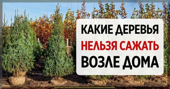 ������� ������: ����� ������� ����� �������� �� ����� �������