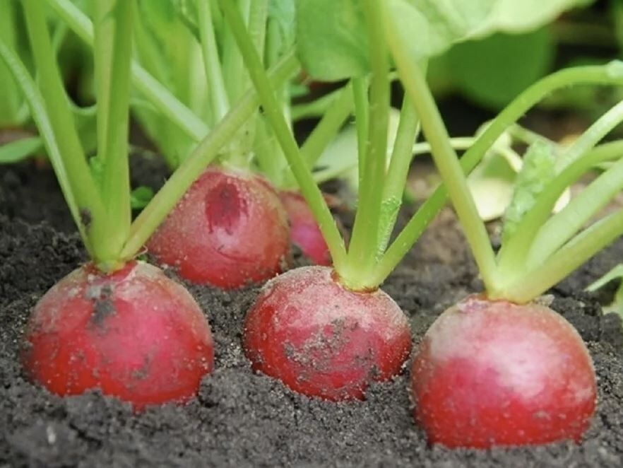 ������� �������� ������: ��� ��������� ����� � ������ � ����� ����