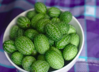 ������������ �������� ��� ������ ����: �������� ��������