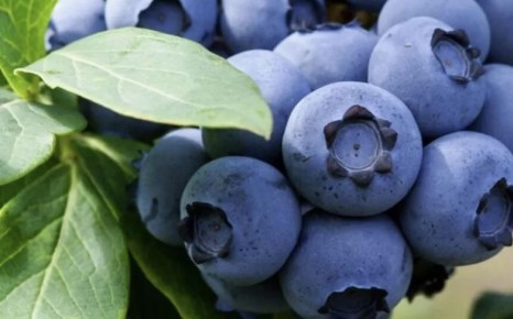 ��� ������� ���������� ��������: ������ � ������������