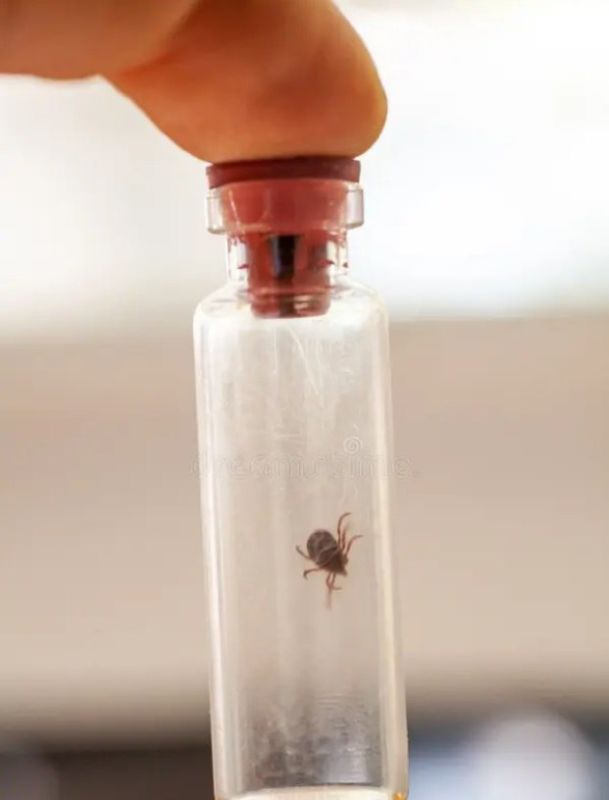 ����� � ������ � ���� ���� ��������� ������ �����