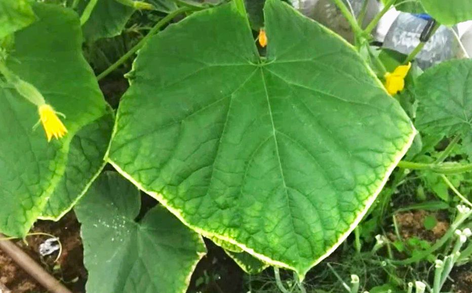 ����� ������ �������: ���� ������� � ������� ������