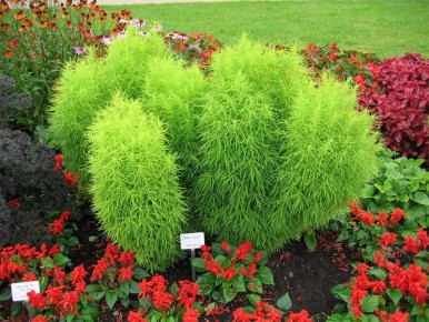 ������ ������ ������� ������ ������� ������ ����