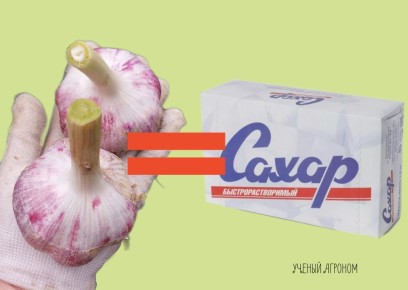 ������: ����������� ������� �� �������� ����� ������