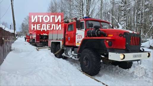 #ИтогиНедели. С 16 по 23 февраля на территории Кировской области пожарно-спасательные подразделения ликвидировали 29 техногенных пожаров, спасли и эвакуировали 15 человек