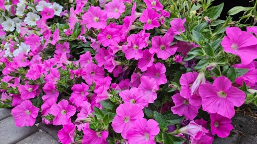 �������, ������� ������������: ��� ����� �������� ���� �����������������