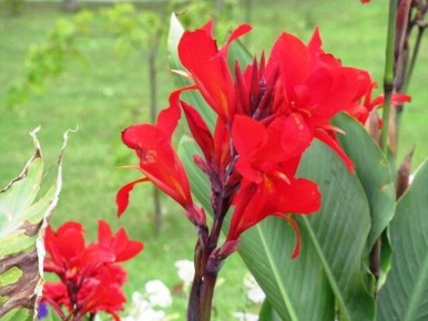 ����� �����: ���� ����� � ����� ���������� �� ����