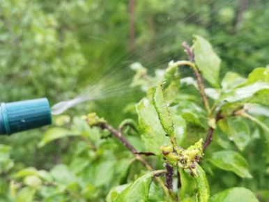 ��� ����������� �������� � ������� �������� � ����: �������� ������