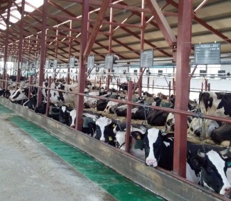 #Районы В Афанасьевском районе реализуют проект с объемом инвестиций более 45 млн рублей