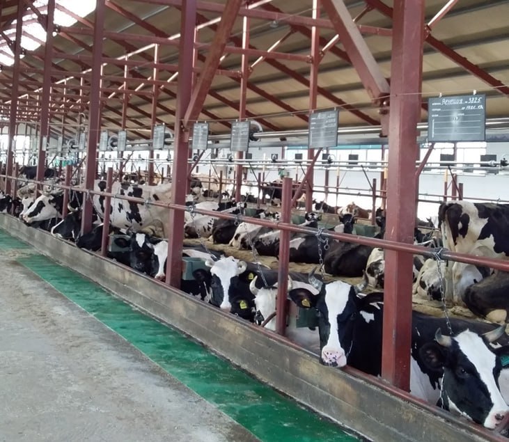 #Районы В Афанасьевском районе реализуют проект с объемом инвестиций более 45 млн рублей