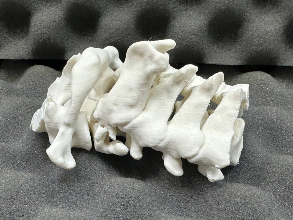 ��������� ������� � ������� 3D-������ ��������� ������������ ������� ����������� ������� ������