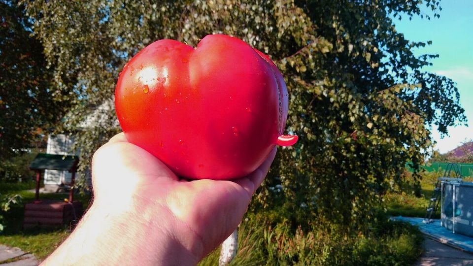 ��� �������� �������� ������ ���������: 5 �������� �����