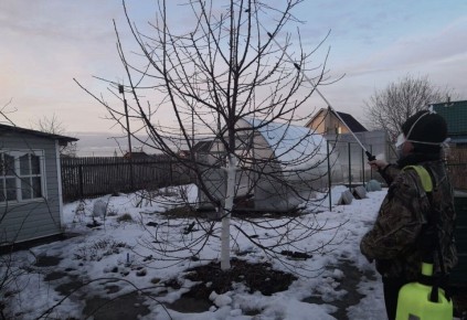 ����������� ��������� ���� ���������: ������ � ������������ ��� ���������