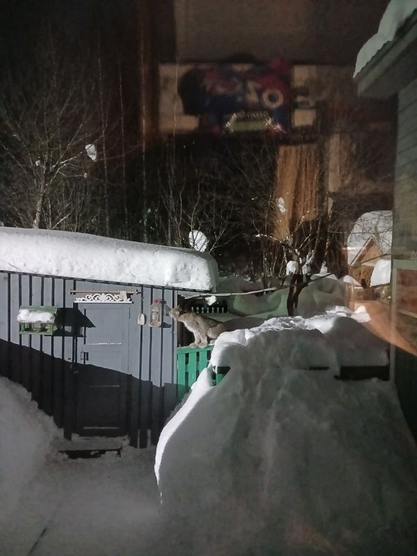 � ������ ������������ ������ �������, ��������� �� ������������ ���-������