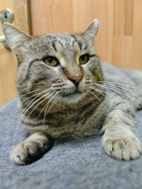 ��� �� ������ ����� ���� ���