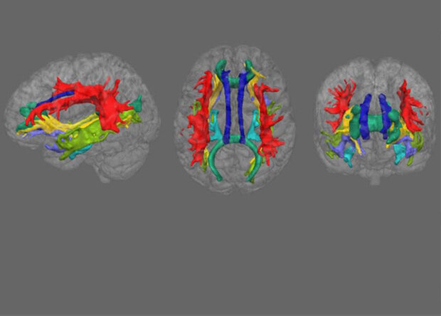 Депрессия: Как распознать и справиться с заболеванием