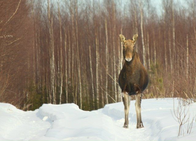 � ��������� ������ ������� ��������� ����� ����