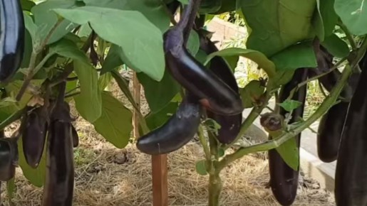 ����������� ���������� � ������� �������� ������, ����� � �������� �������