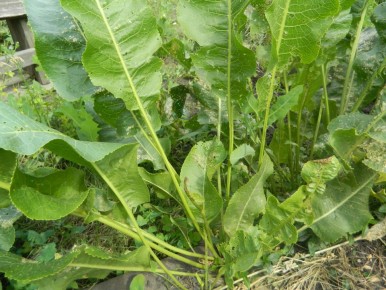 ������� ��������� ����������� ����� ��� ������� � �������