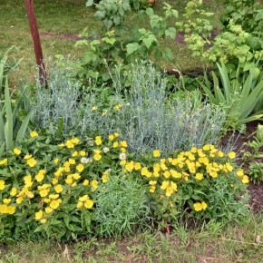 Как создать идеальное пространство для здоровья на даче