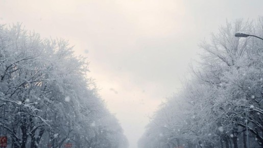 Синоптики дали прогноз на последний день зимы