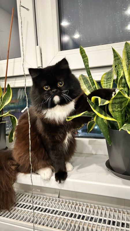 5 ���������� ������ � ������, ������� ����� ��� �������: