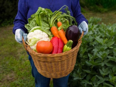 ������� � ��������� ����� ��� �������