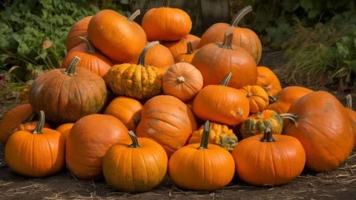 ��� ��������� ���������� ��� � ������� ����� � ����������