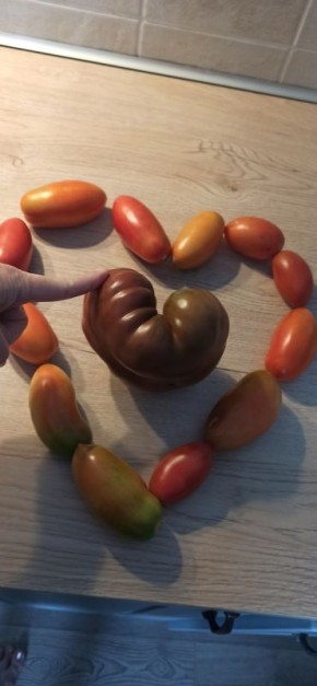 ��������� ����� '������': ��������� ����� ��� �����������