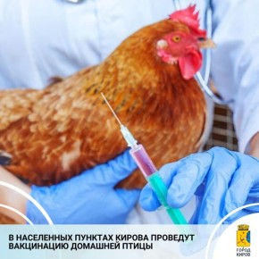 С 3 по 5 марта в частном секторе Ленинского района специалисты Кировской областной станции по борьбе с болезнями животных проведут плановую выездную вакцинацию домашней птицы против гриппа