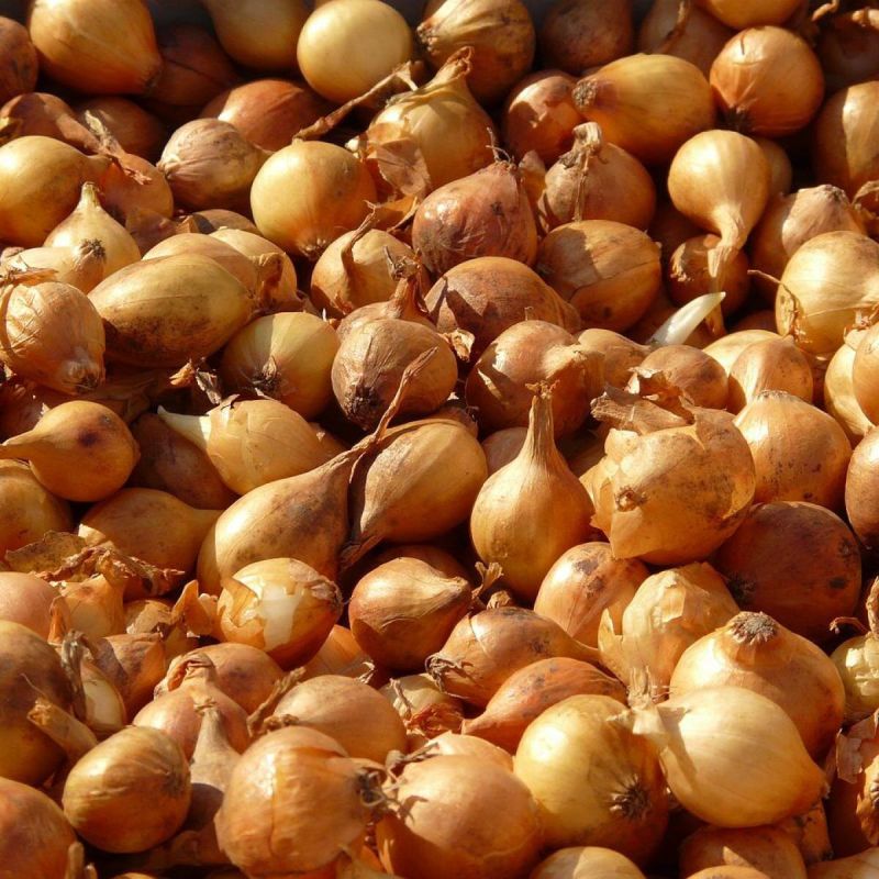 ��� ��������� ������� ���: ��������� ������� �� ��������