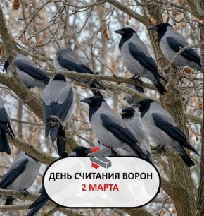 #такойсегодняпраздник. И всё же пусть понедельник пройдёт более эффективно!