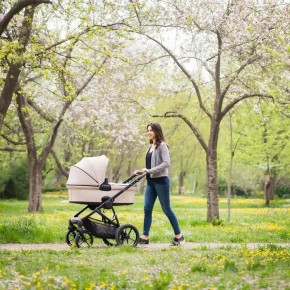 � ��������� ������� ������ ����� ���� ��������� ��� �������� �����