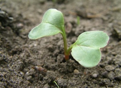 ��� ������� ��������� ���� ������ ��� �������� ������