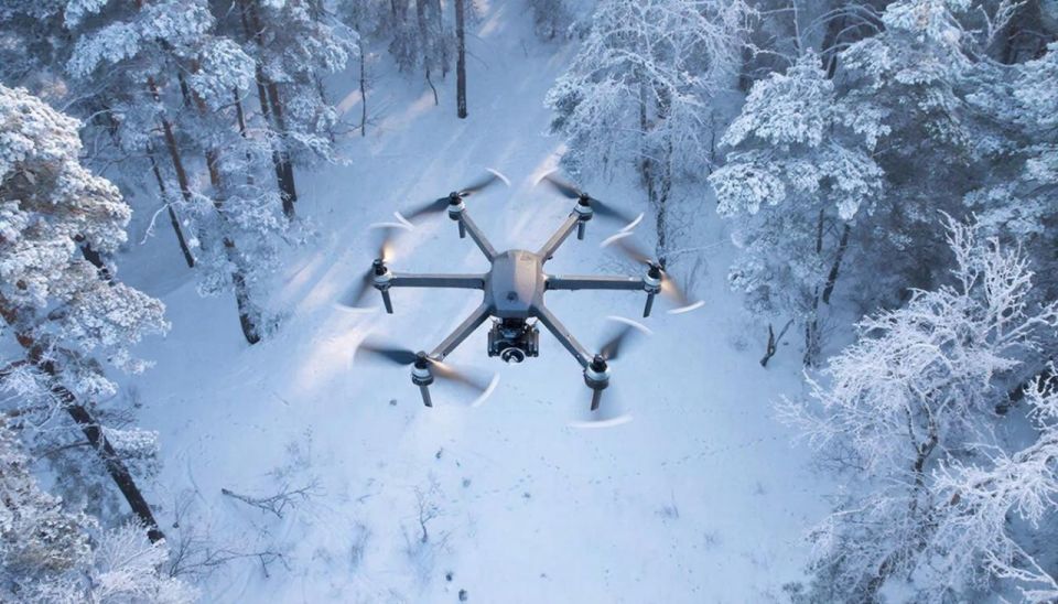 ���������� ������� �. ������� �������� � ������ � ���� ���������� ����������� ������� ��������