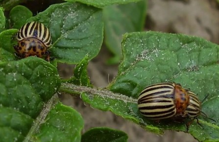 ��� 7 ����� ����� ��������� � ������ � ������������ ������ �� ��������