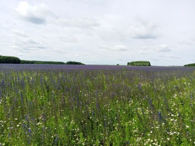 � ��������� ������� ����� ������ ������