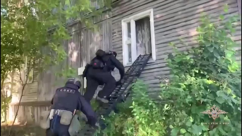 Ирина Волк: Мои коллеги пресекли деятельность межрегиональной организованной группы, участники которой присваивали денежные средства участников СВО