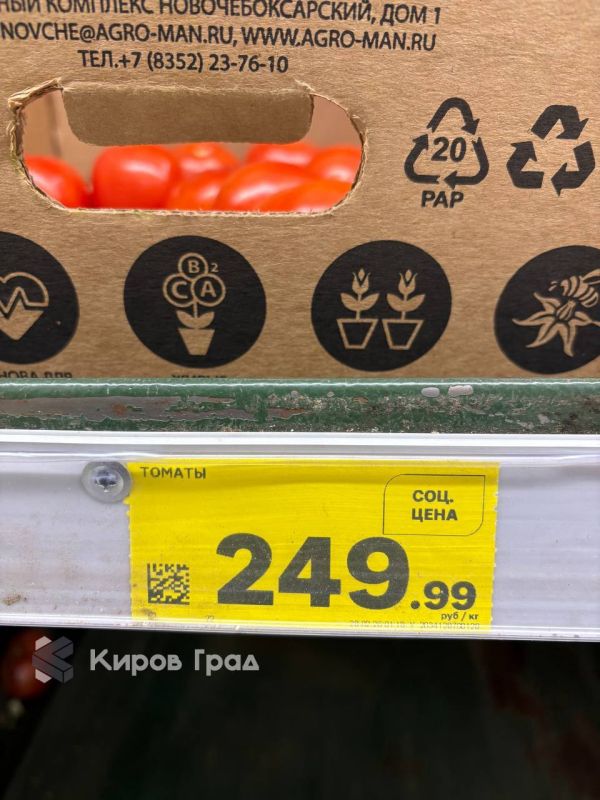 Огурцы и помидоры решили сравняться в цене!