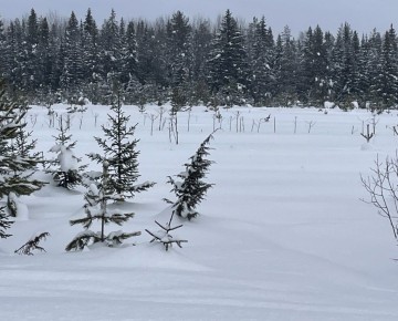 ����� 90 �������� ������������� � �������������� ������ ������� ��������� � ����������