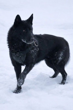 ���� ������ �� ��������� ������� � ������������ �� ��. 14 ������������ ������ �� 27.12.2018 � 498-�� ��� ������������� ��������� � ��������� � � �������� ��������� � ��������� ��������������� ���� ���������� ���������...