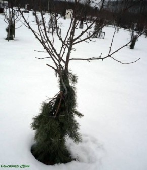 ��� �� ����� ������ � ���� � �����: �������� ������ ��� ���������