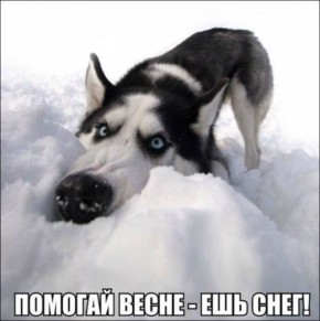 #��������