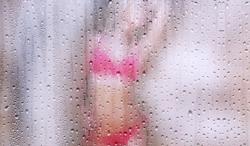 ����������� ������� � ������ ��� ��������: ����� ��� � �������������� �����������