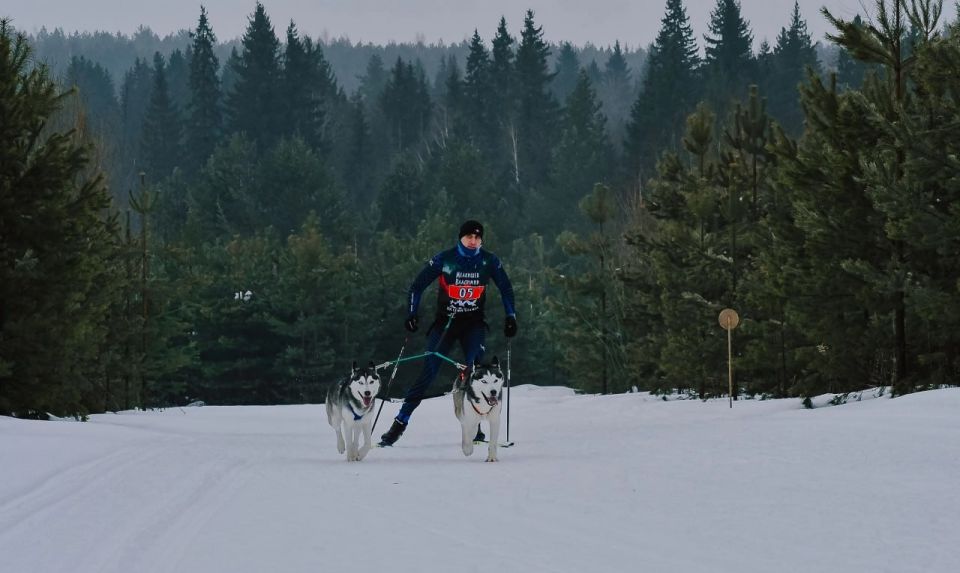 Гонка за мечтой на лыжах в команде с собаками