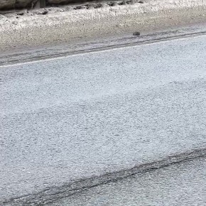 �� ������� ��������� ������� �������� ����������������� ������