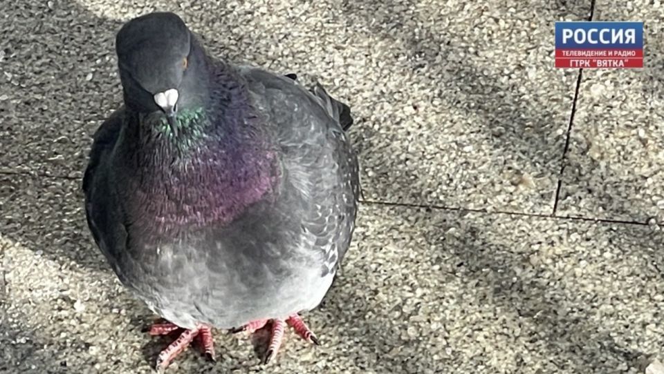 � ������� � ��������� ������� ������������ �� +6 ��������