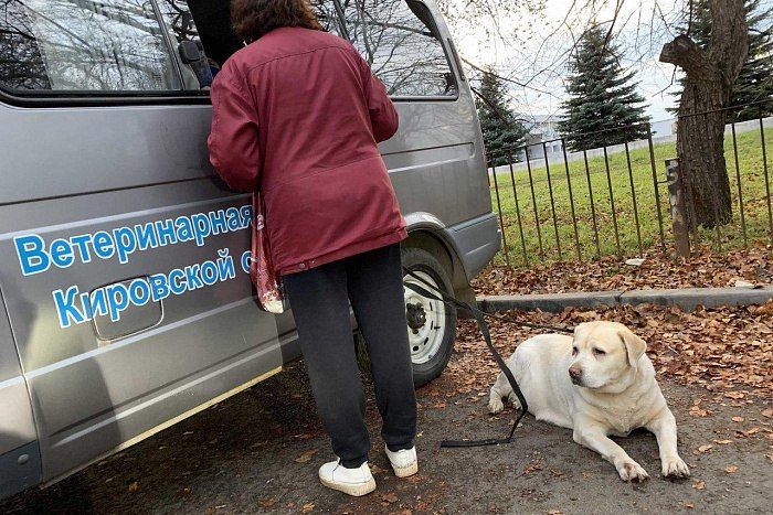 С 23 марта в Кировской области начинается весенняя выездная вакцинация животных против бешенства